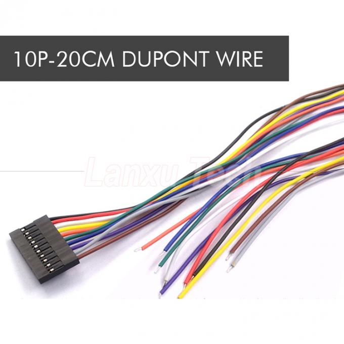 10cm 20cm 30cm 50cm 2 Pin 3 4 5 6 8 10 Pin Dupont 2.54mm Conector de cable Jumper Arnés de cable 8
